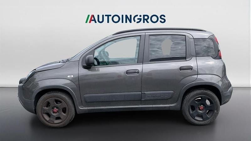 Usata Fiat Panda Cross Cross 71 CV (52 kW) 2020 Grigio Utilitaria