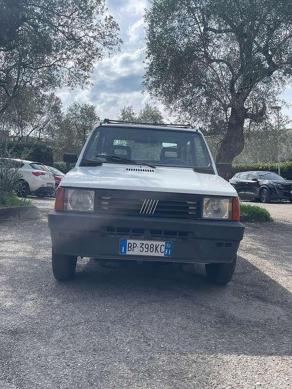 Usata Fiat Panda 4x4 Trekking 54 CV (39 kW) 2001 Bianco Utilitaria