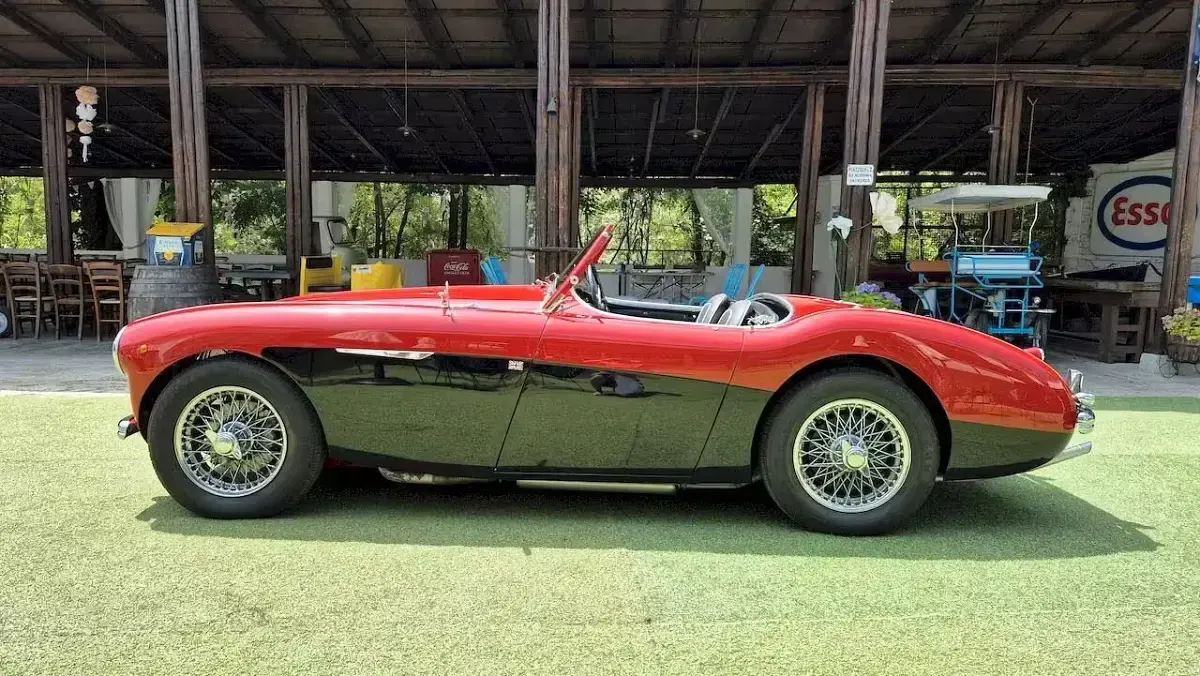 Usata Austin Healey 100 89 CV (65 kW) 1954 Rosso Cabrio