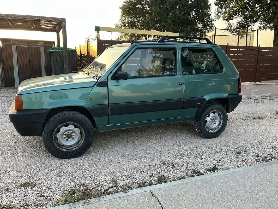 Usata Fiat Panda 4x4 Trekking 54 CV (39 kW) 2001 Utilitaria