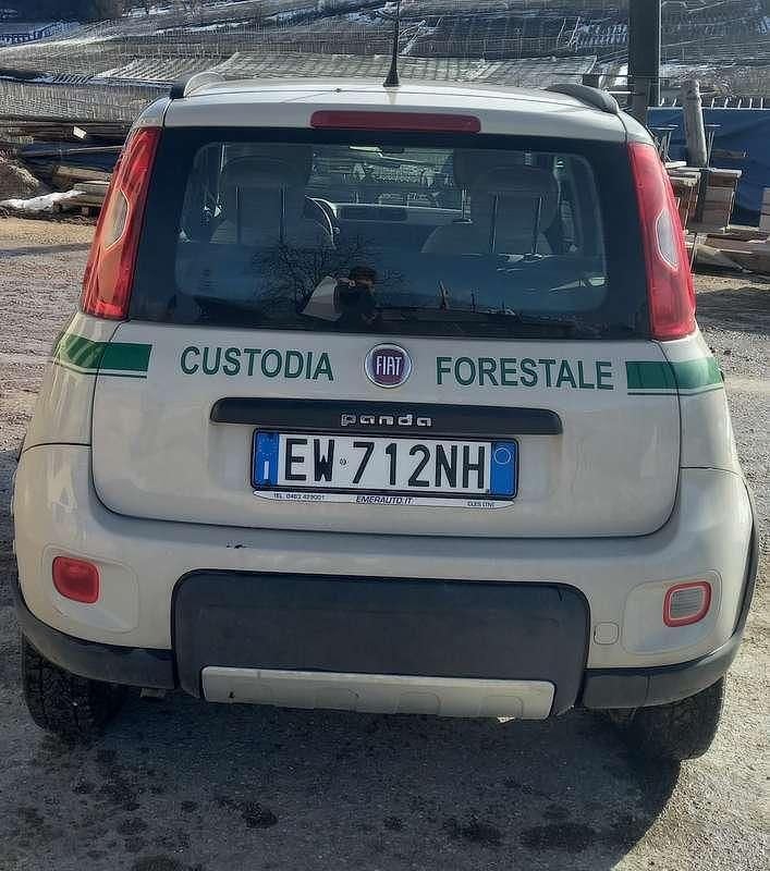 Gebraucht Fiat Panda 4x4 75 PS (55 kW) 2014 Weiß Kleinwagen