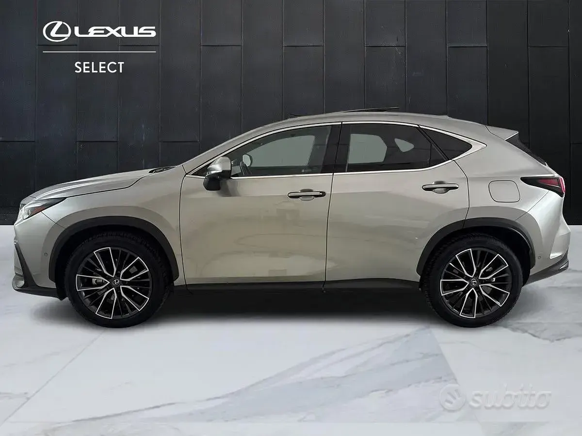 Usata Lexus NX350h Luxury Line 190 CV (139 kW) 2024 Grigio SUV