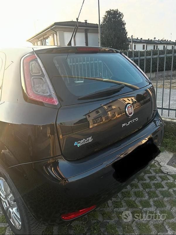 Usata Fiat Punto 77 CV (56 kW) 2013 Nero Utilitaria