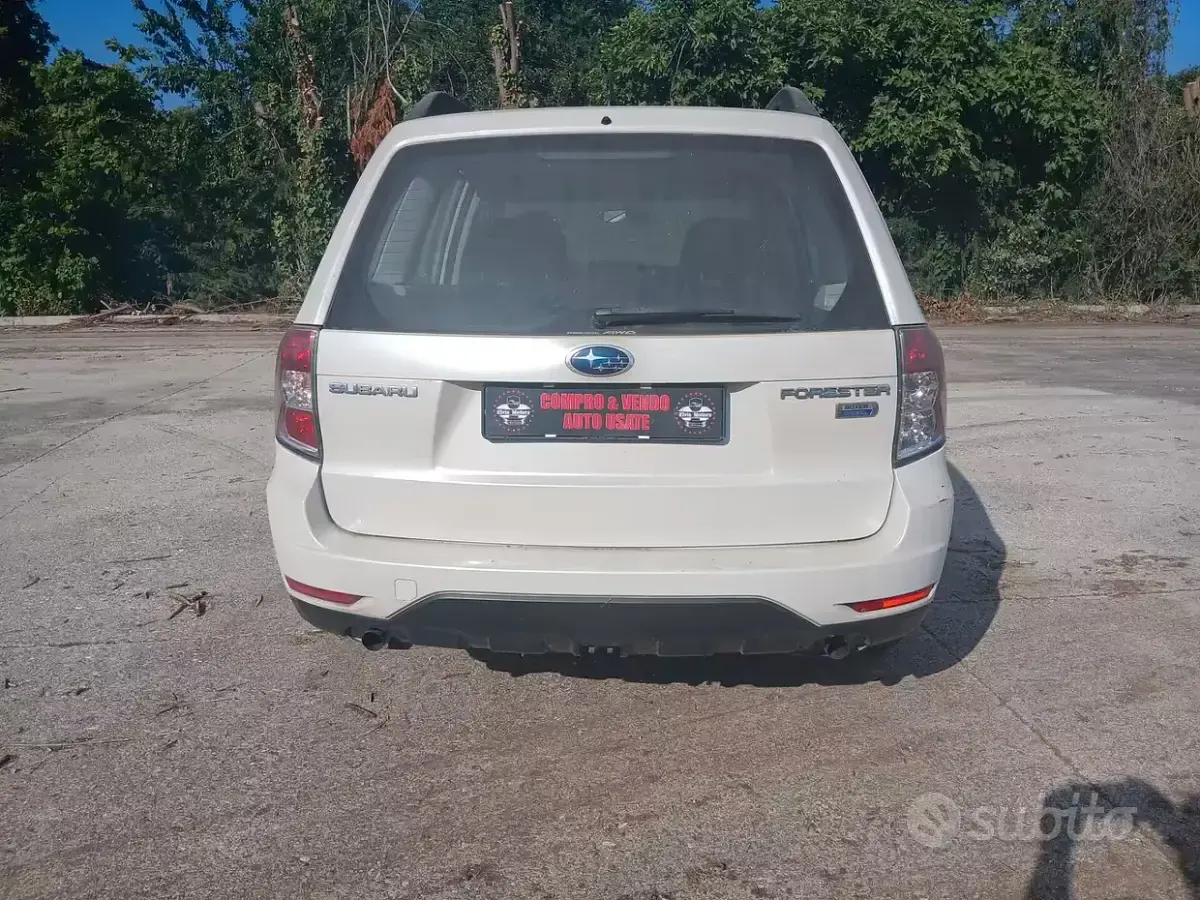 Usata Subaru Forester Trend 147 CV (108 kW) 2010 Bianco SUV