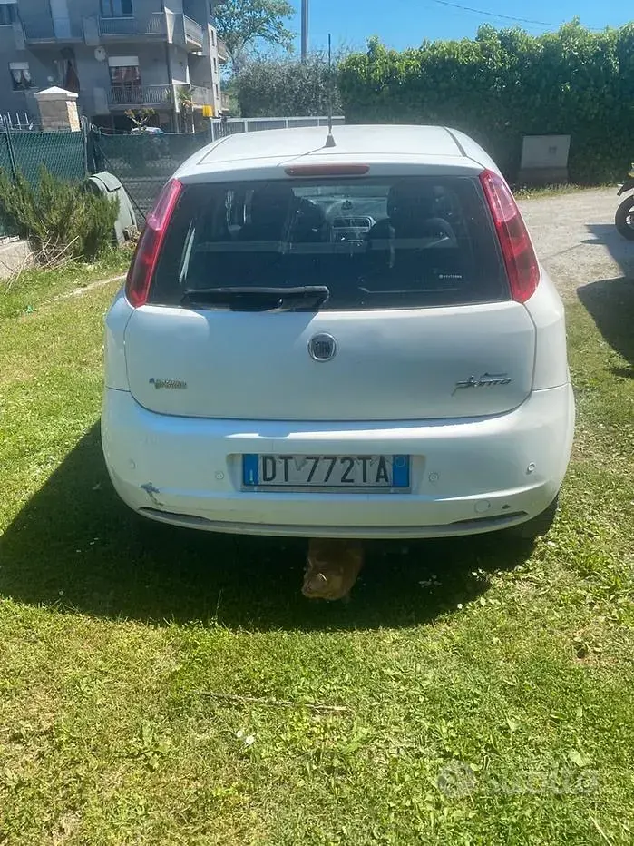 Usata Fiat Grande Punto 77 CV (56 kW) 2009 Utilitaria