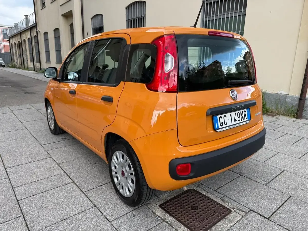 Usata Fiat Panda Easy 69 CV (50 kW) 2020 Arancione Utilitaria