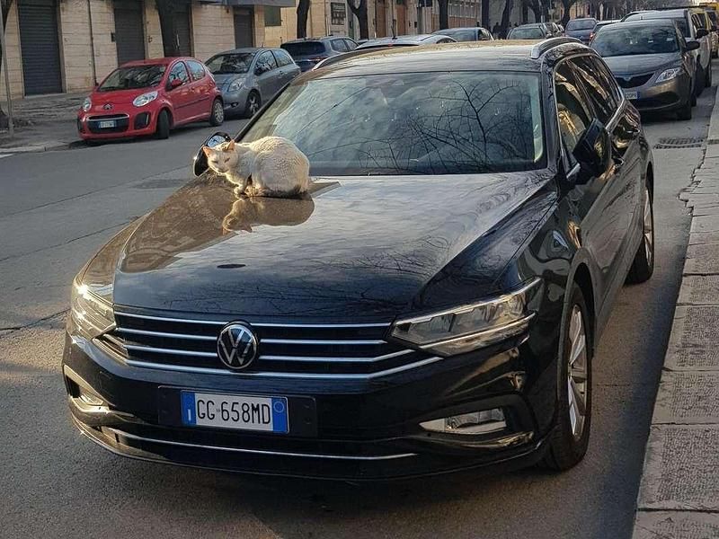 Usata VW Passat Executive 150 CV (110 kW) 2021 Nero Station wagon