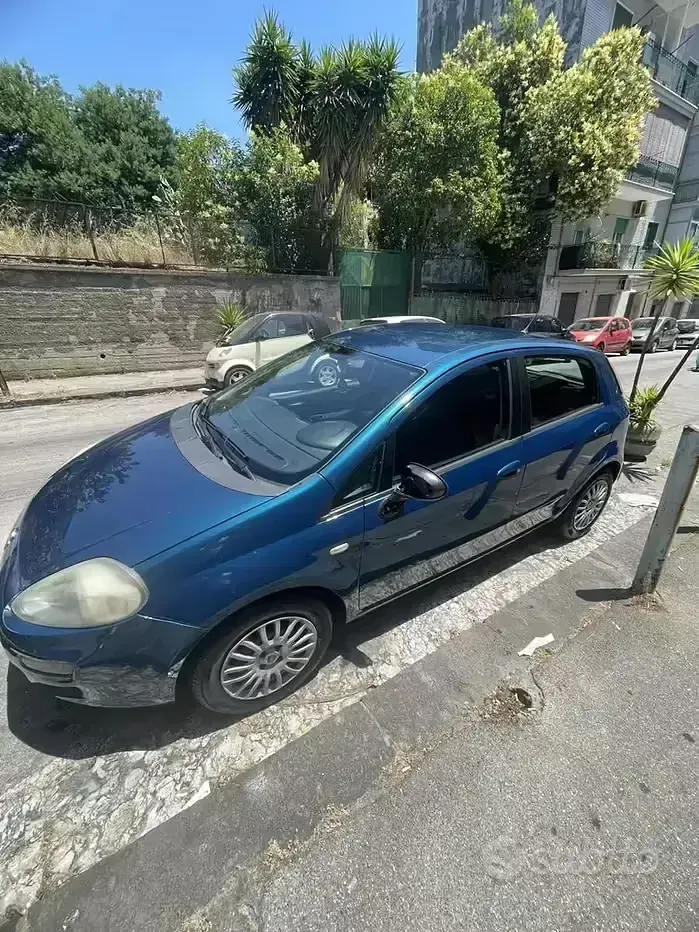 Usata Fiat Punto 75 CV (55 kW) 2014 Bluazzurro Utilitaria