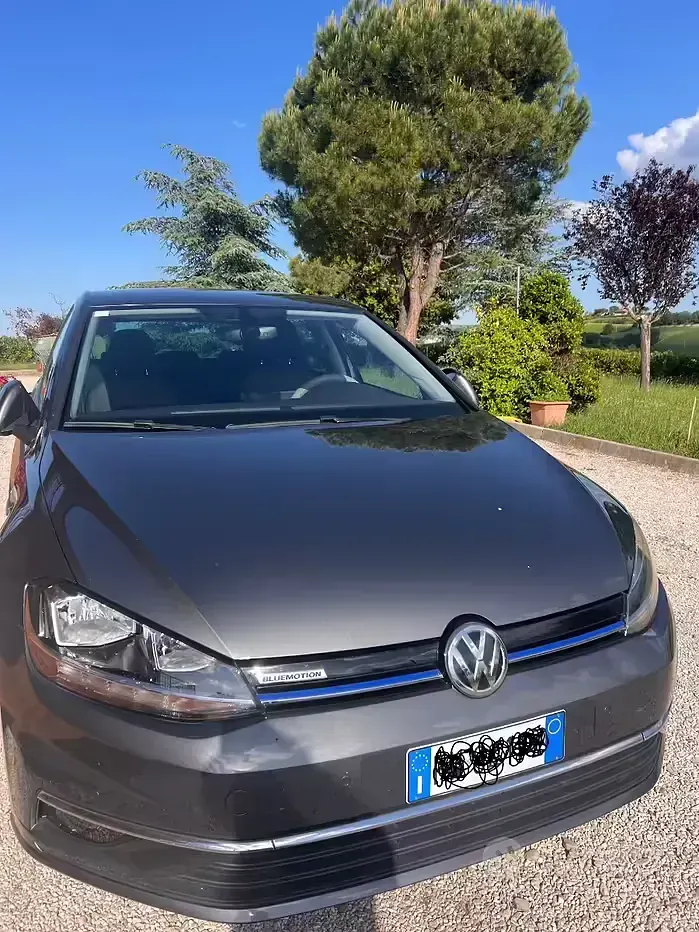 Usata VW Golf VII Executive 130 CV (95 kW) 2019 Berlina