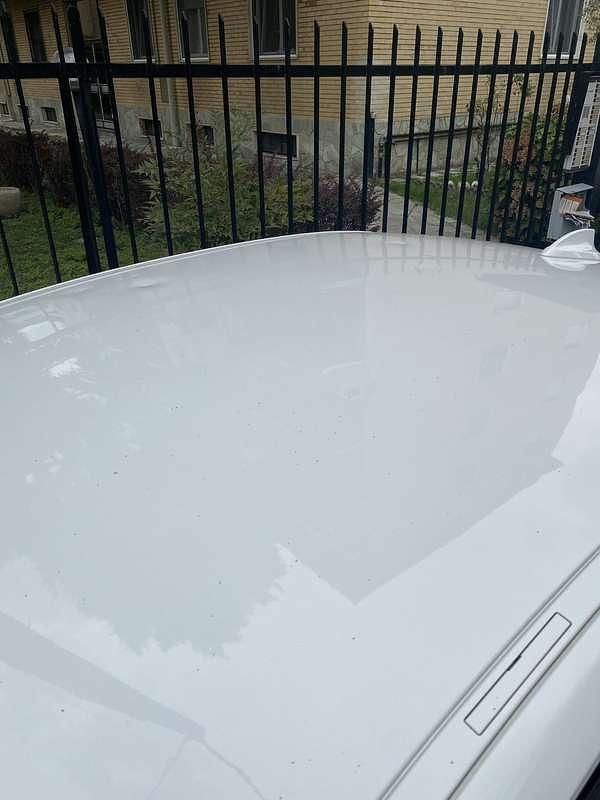 Usata BMW 318 Sport Line 143 CV (105 kW) 2012 Berlina