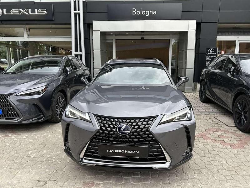 Usata Lexus UX 250h Executive Line 184 CV (135 kW) 2022 Grigio SUV