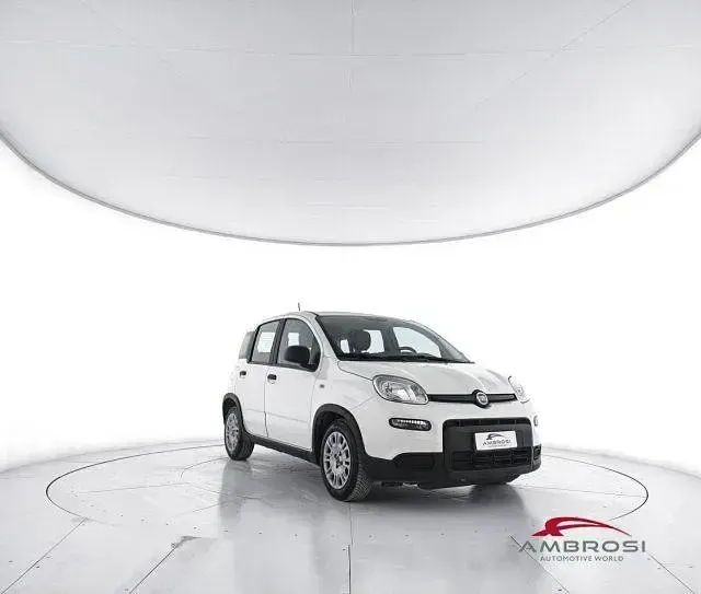 Usata Fiat Panda S 69 CV (50 kW) 2023 Bianco Utilitaria