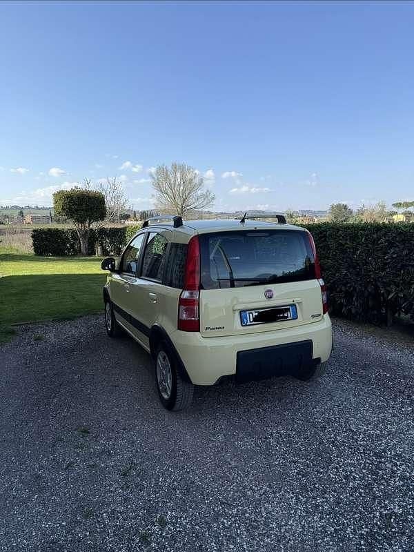 Usata Fiat Panda Cross 77 CV (56 kW) 2009 Utilitaria