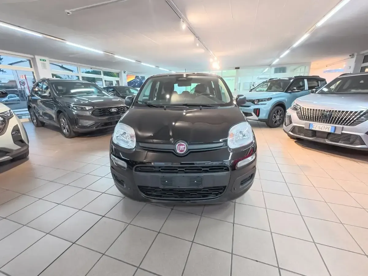 Usata Fiat Panda S 70 CV (51 kW) 2024 Bianco Utilitaria
