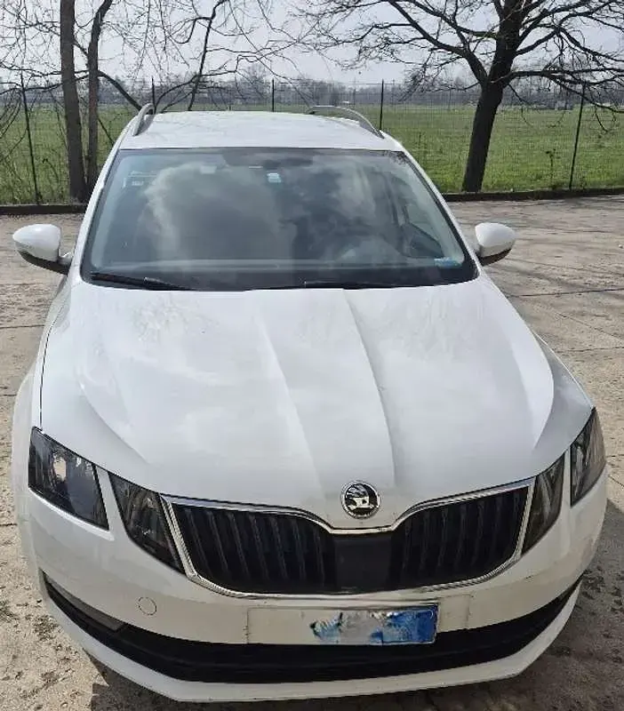 Usata Skoda Octavia 131 CV (96 kW) 2019 Bianco Station wagon