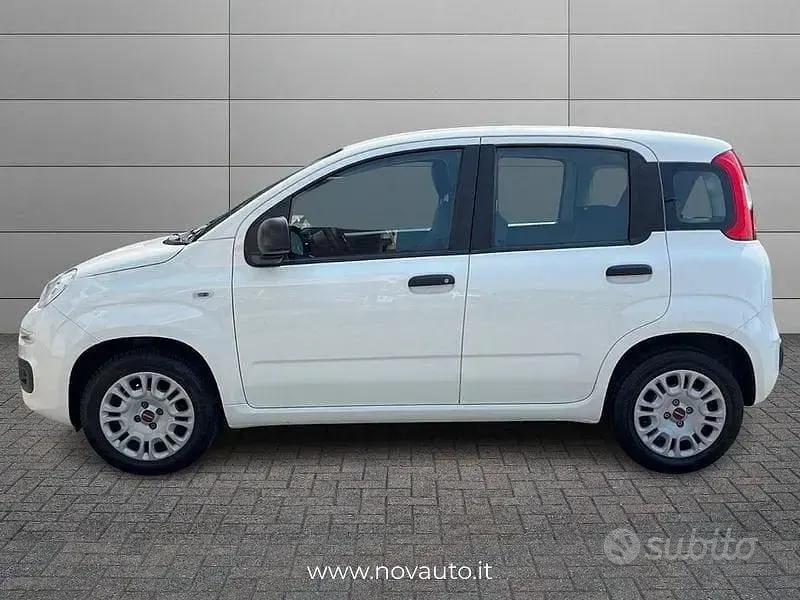 Usata Fiat Panda Easy 69 CV (50 kW) 2021 Bianco Utilitaria