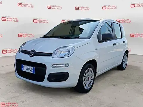 Usata Fiat Panda Easy 69 CV (50 kW) 2019 Utilitaria