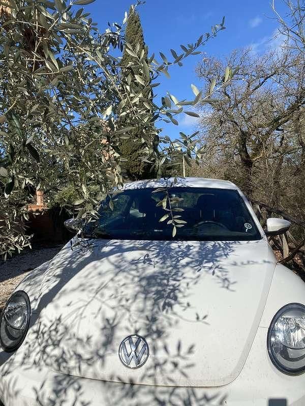 Usata VW Beetle Design 105 CV (77 kW) 2012 Utilitaria