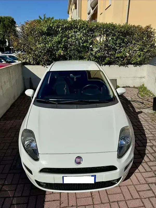 Usata Fiat Punto Lounge 69 CV (50 kW) 2014 Utilitaria