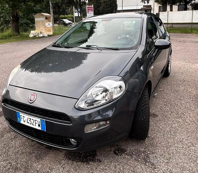 Usata Fiat Punto Evo 2016 Utilitaria