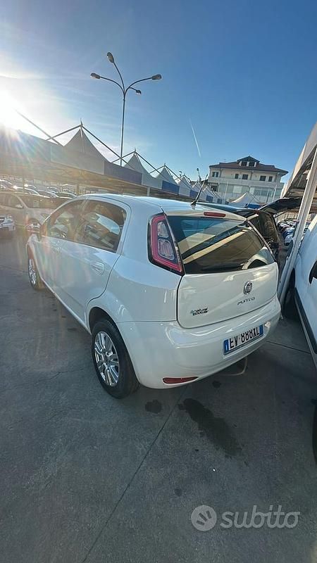 Usata Fiat Punto Evo 77 CV (56 kW) 2014 Bianco Utilitaria