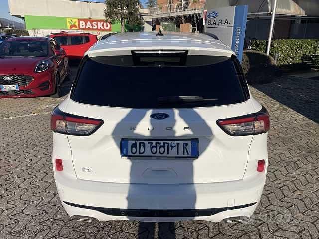 Usata Ford Kuga ST-Line X 150 CV (110 kW) 2020 Bianco SUV