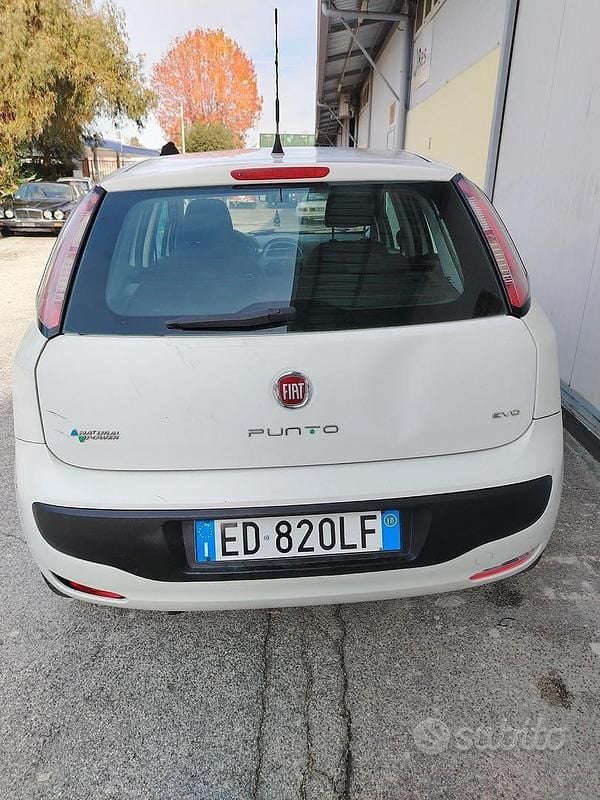Usata Fiat Punto Evo 77 CV (56 kW) 2009 Bianco Utilitaria