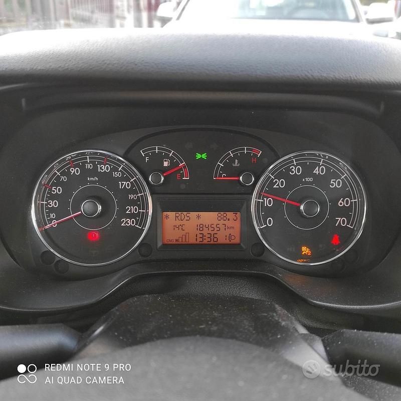 Usata Fiat Punto 2009 Utilitaria