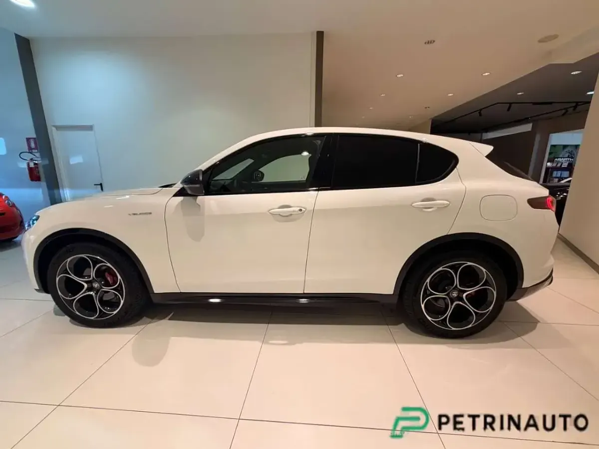 Usata Alfa Romeo Stelvio Veloce 209 CV (153 kW) 2025 240 bianco alfa SUV