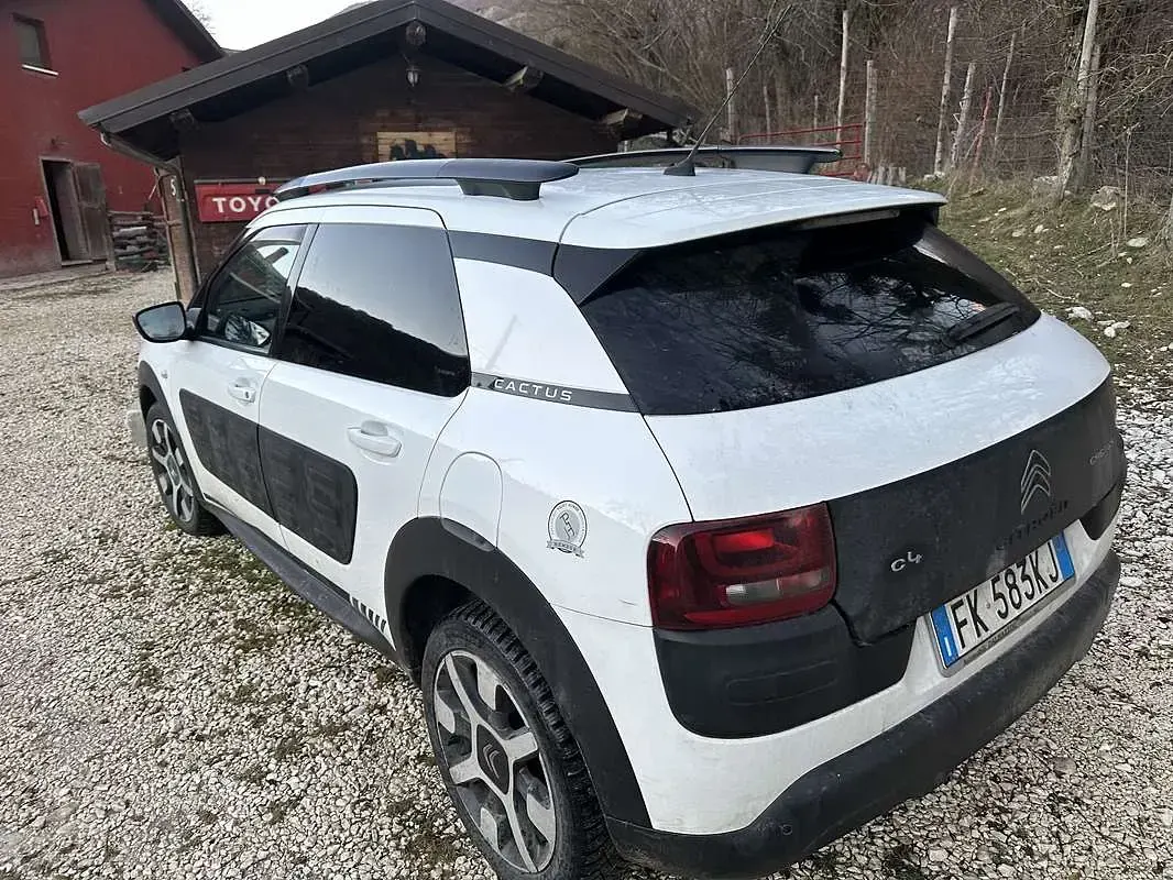 Usata Citroën C4 Cactus PureTech 82 CV (60 kW) 2017 Bianco Utilitaria