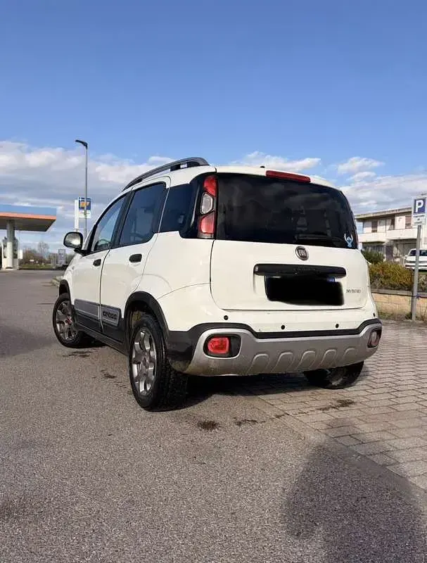 Usata Fiat Panda Cross Cross 71 CV (52 kW) 2022 Utilitaria