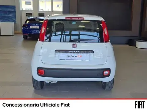 Usata Fiat Panda Easy 69 CV (50 kW) 2017 Bianco Utilitaria