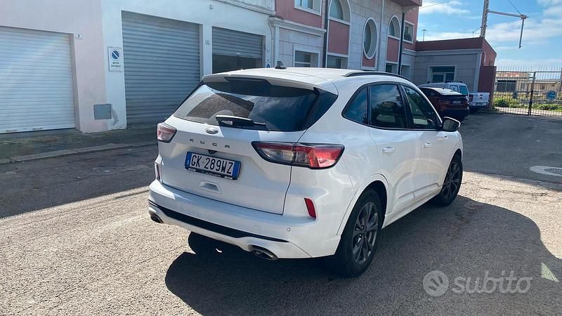 Usata Ford Kuga ST-Line 120 CV (88 kW) 2023 Bianco SUV