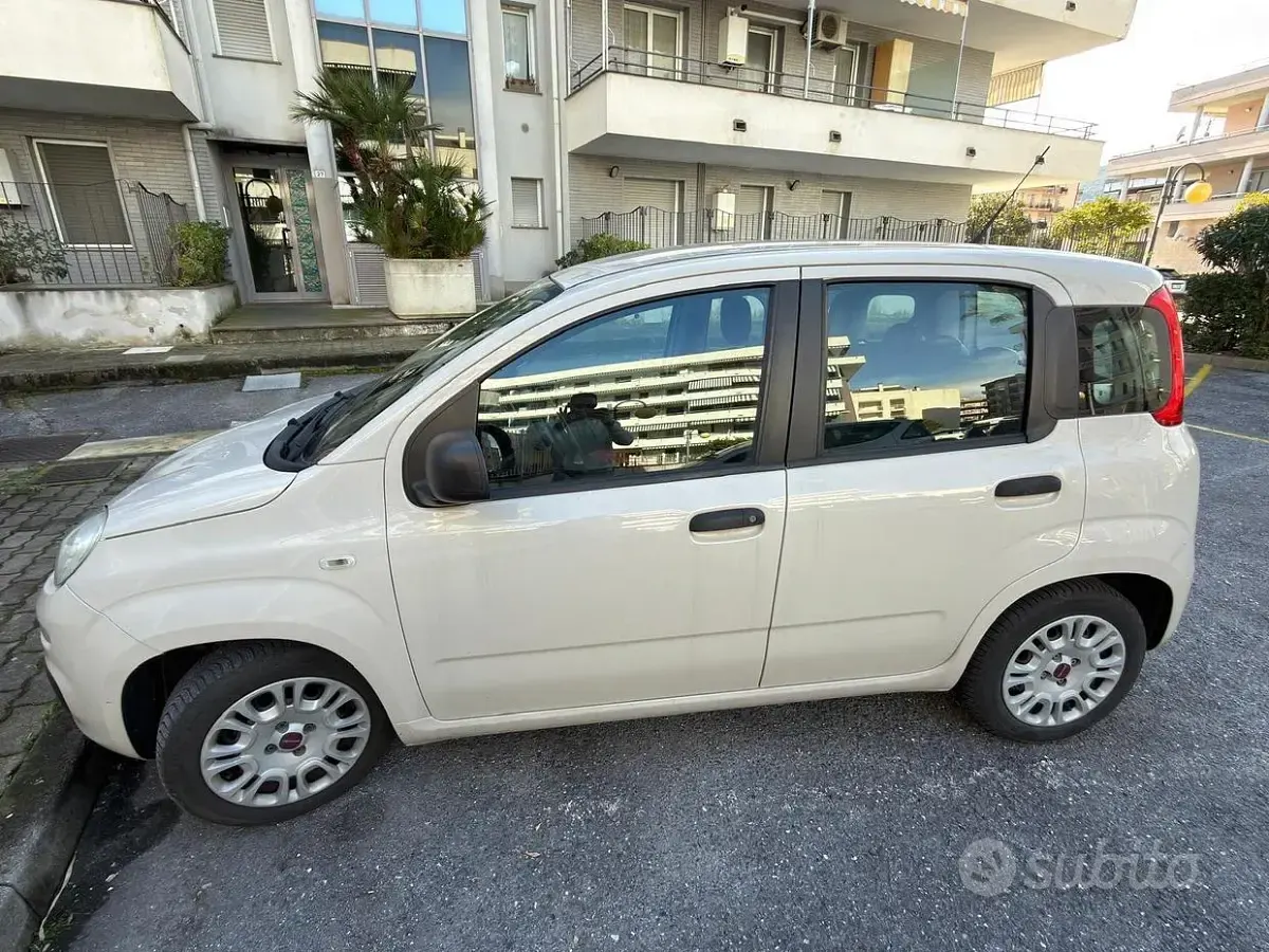 Usata Fiat Panda Easy 69 CV (50 kW) 2017 Utilitaria