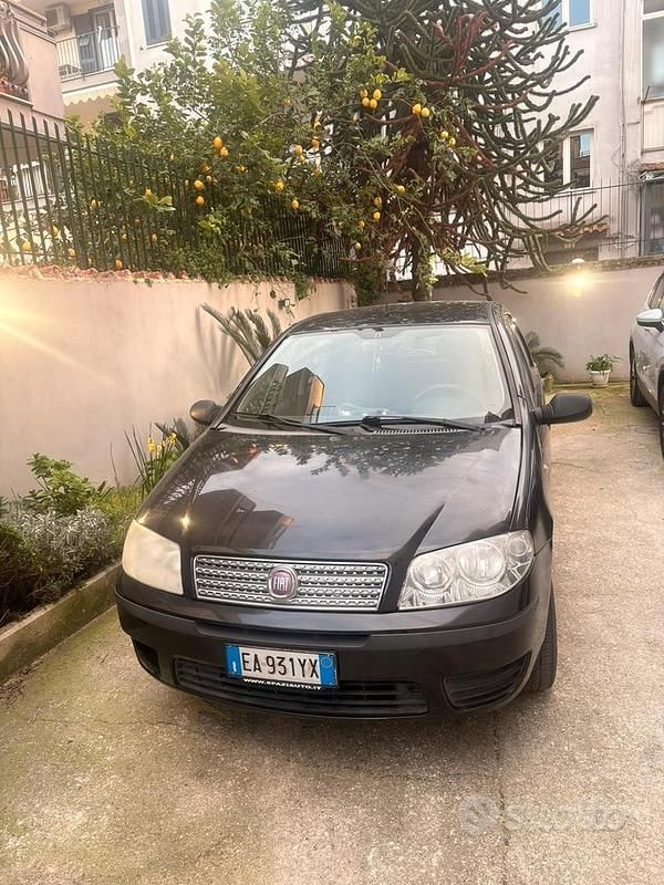 Usata Fiat Punto Classica 77 CV (56 kW) 2009 Nero Utilitaria