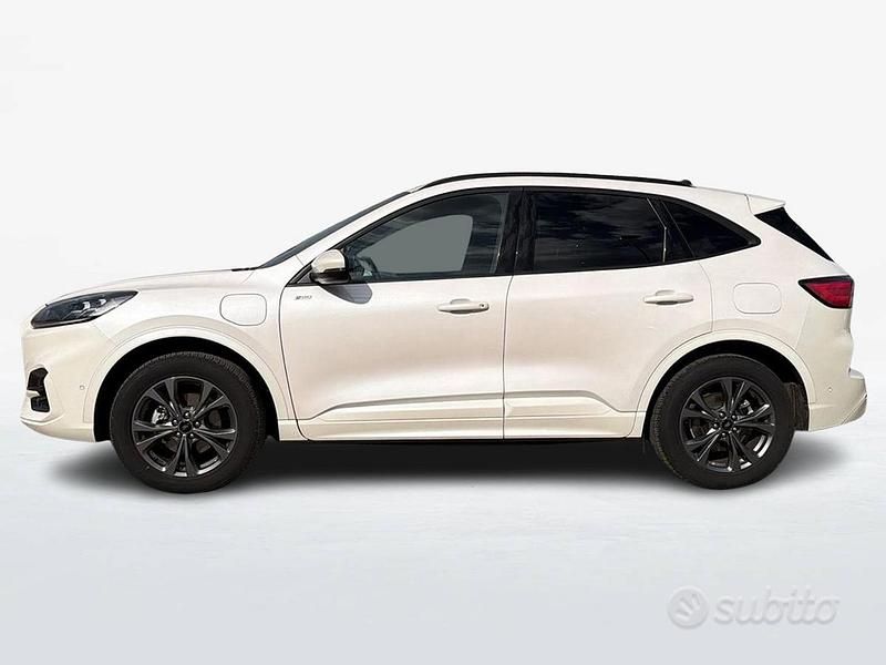 Usata Ford Kuga ST-Line X 225 CV (165 kW) 2023 Bianco SUV