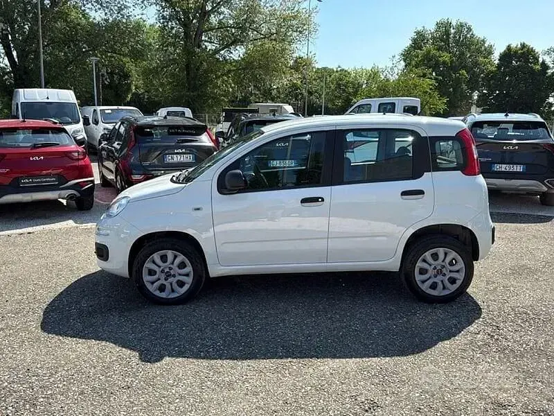 Usata Fiat Panda Easy 70 CV (51 kW) 2019 Bianco Utilitaria