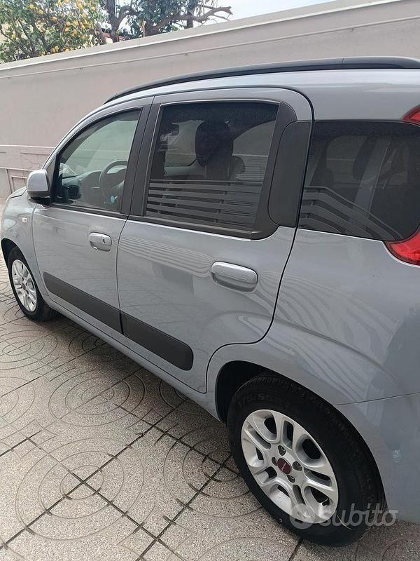 Usata Fiat Panda 69 CV (50 kW) 2019 Grigio Utilitaria