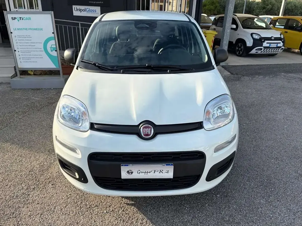 Usata Fiat Panda Icon 65 CV (47 kW) 2025 Bianco Utilitaria
