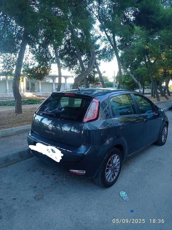 Usata Fiat Punto Active 69 CV (50 kW) 2011 Utilitaria