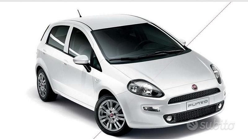 Bianco Usata 2014 Fiat Punto Due volumi | 8000 € - Immagine 1/1
