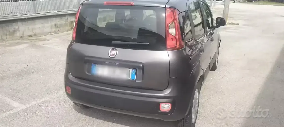 Usata Fiat Panda Easy 69 CV (50 kW) 2019 Grigio Utilitaria