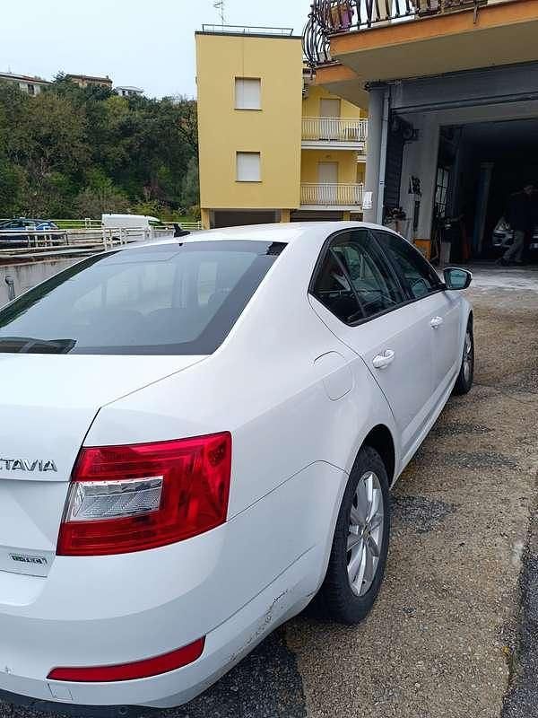 Usata Skoda Octavia G-TEC Ambition 110 CV (80 kW) 2016 Bianco Berlina