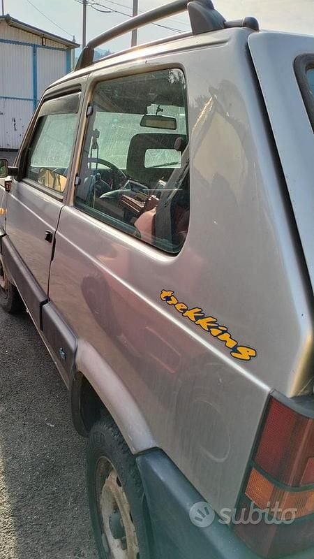 Usata Fiat Panda 4x4 54 CV (39 kW) 1999 Grigio Utilitaria