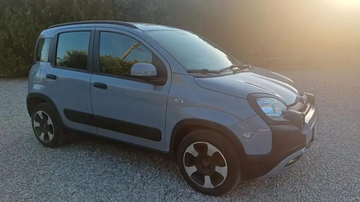 Usata Fiat Panda Cross Cross 69 CV (50 kW) 2021 Grigio Utilitaria