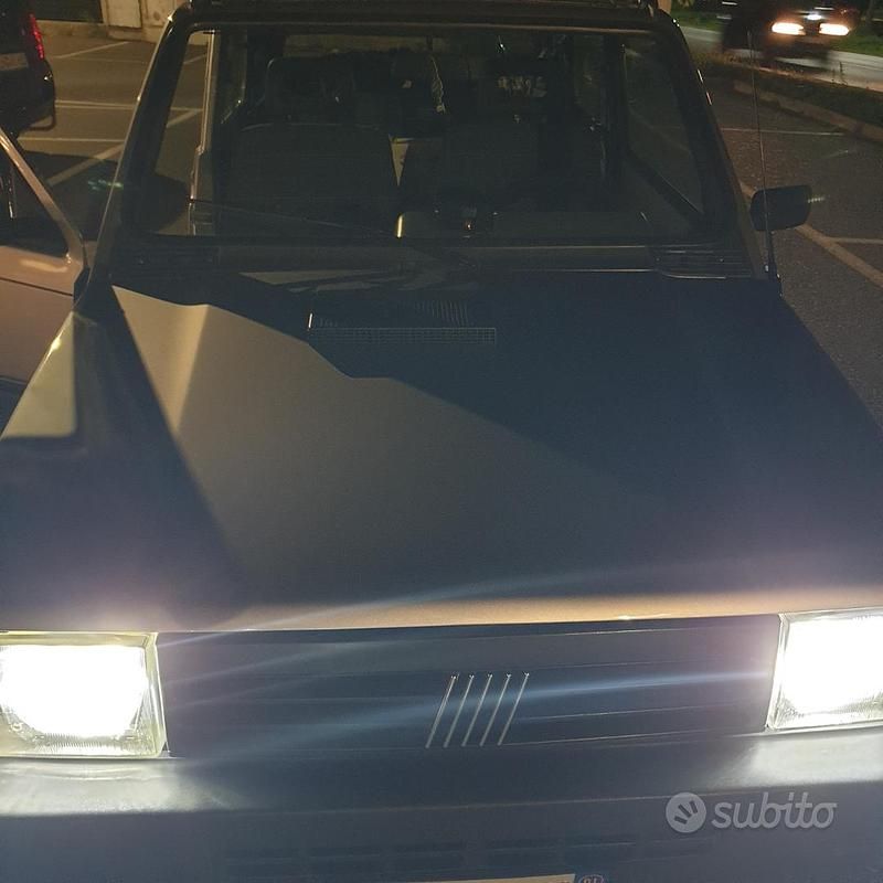 Usata Fiat Panda 4x4 Trekking 54 CV (39 kW) 2001 Grigio Utilitaria