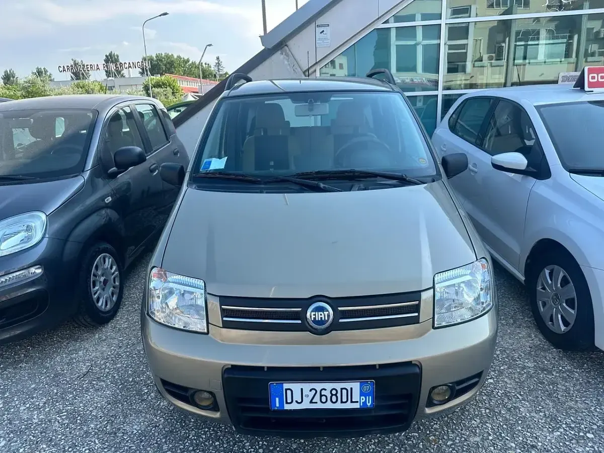 Usata Fiat Panda 4x4 Climbing 75 CV (55 kW) 2007 Grigio Utilitaria