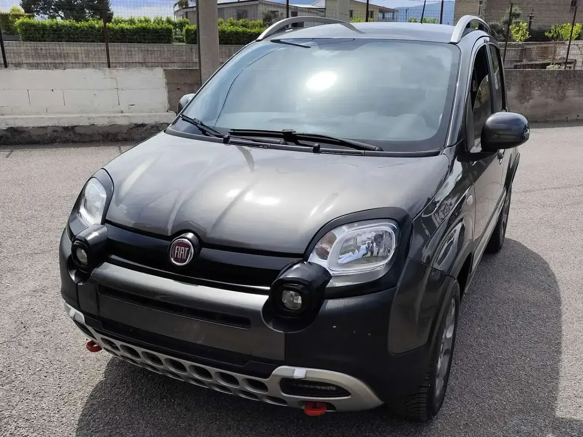 Usata Fiat Panda Cross Cross 95 CV (69 kW) 2017 Other Utilitaria