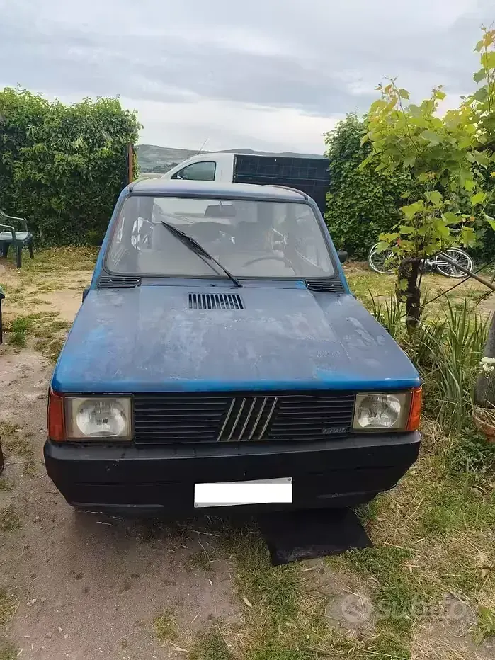 Usata Fiat Panda 1982 Bluazzurro Utilitaria