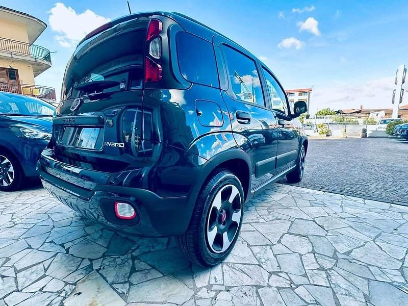 Usata Fiat Panda Cross Cross 69 CV (50 kW) 2024 Verde foresta Utilitaria